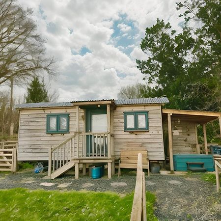 Lle Mary - Beautiful Views, Hot Tub, Secluded, Dog Welcome, Barmouth Llanddwywe المظهر الخارجي الصورة