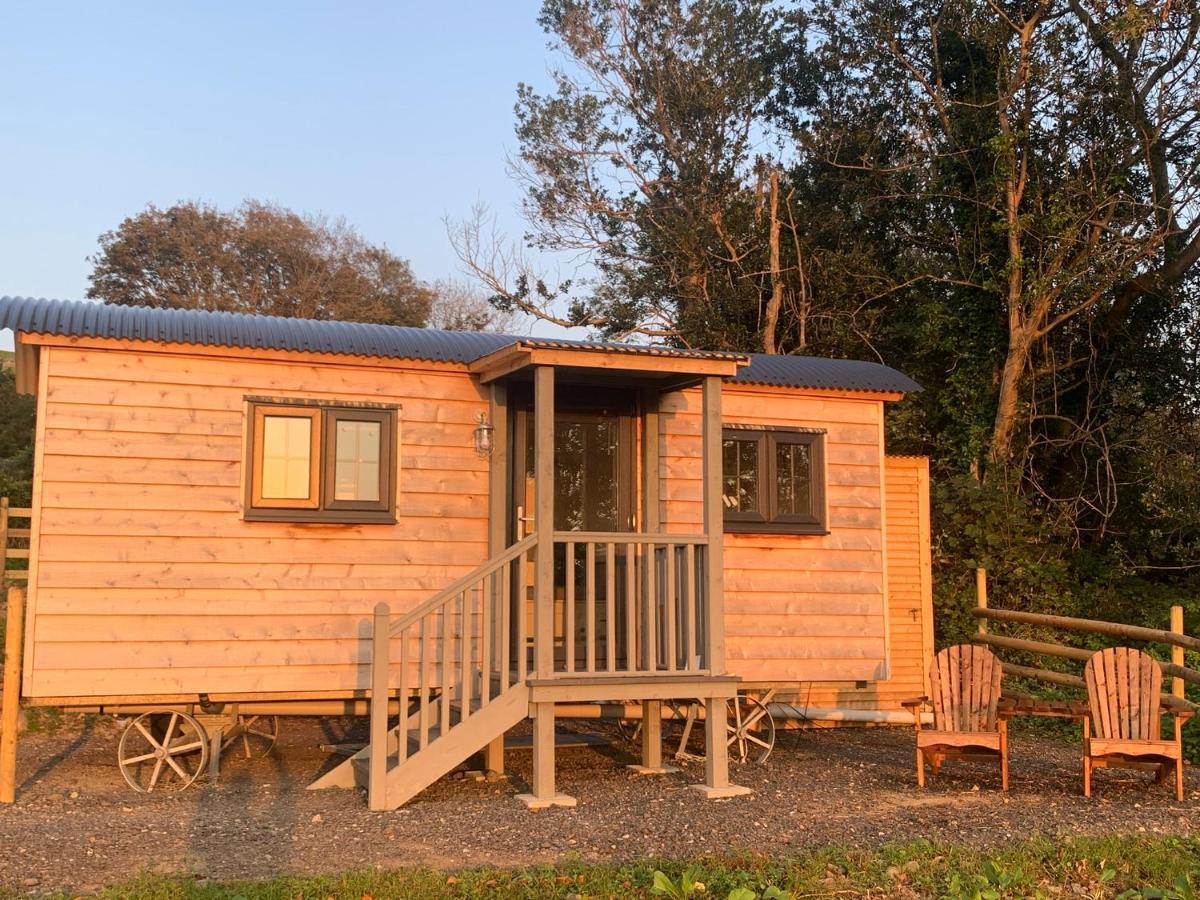 Lle Mary - Beautiful Views, Hot Tub, Secluded, Dog Welcome, Barmouth Llanddwywe المظهر الخارجي الصورة