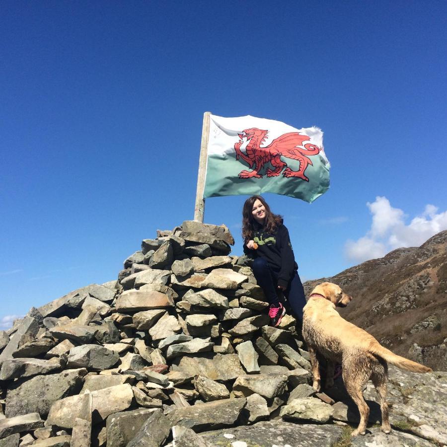 Lle Mary - Beautiful Views, Hot Tub, Secluded, Dog Welcome, Barmouth Llanddwywe المظهر الخارجي الصورة