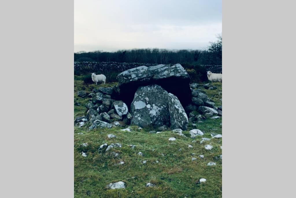 Lle Mary - Beautiful Views, Hot Tub, Secluded, Dog Welcome, Barmouth Llanddwywe المظهر الخارجي الصورة