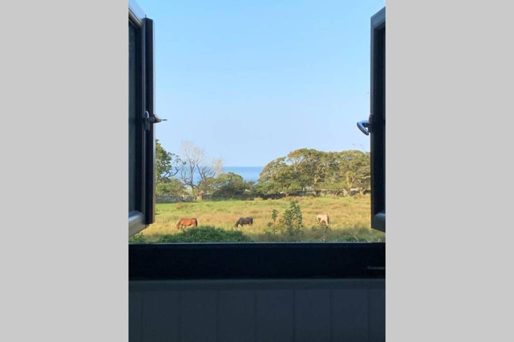Lle Mary - Beautiful Views, Hot Tub, Secluded, Dog Welcome, Barmouth Llanddwywe المظهر الخارجي الصورة